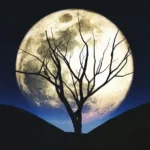 Dolunayın Burçlar Üzerindeki Etkileri